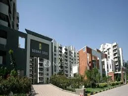 Sobha Iris