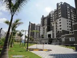 Sobha Petunia