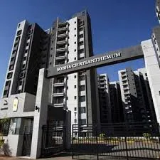 Sobha Chrysanthemum